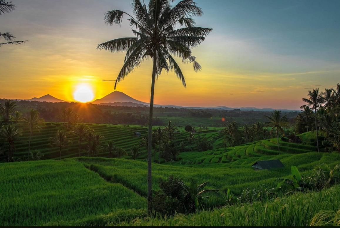 Desa Wisata Jatiluwih Tawarkan Pesona Alam Matahari Terbit